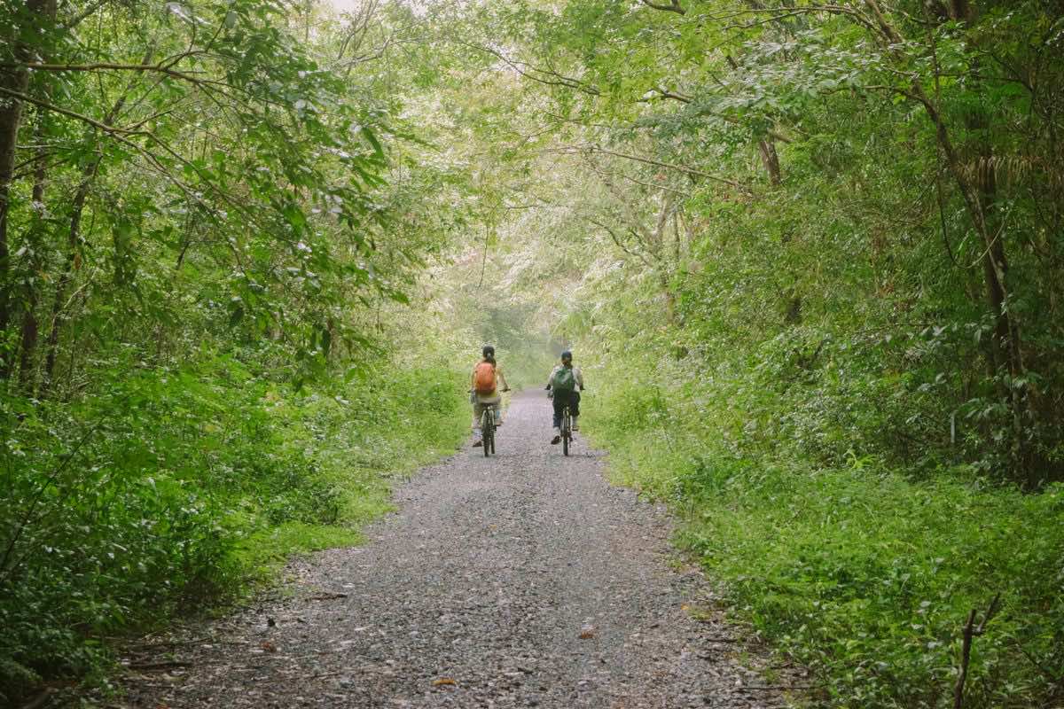 Dos ciclistas de espaldas por una pista de grava en un bosque verde